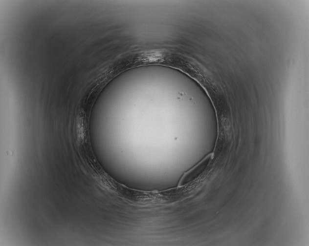 X0000116301442200912071239