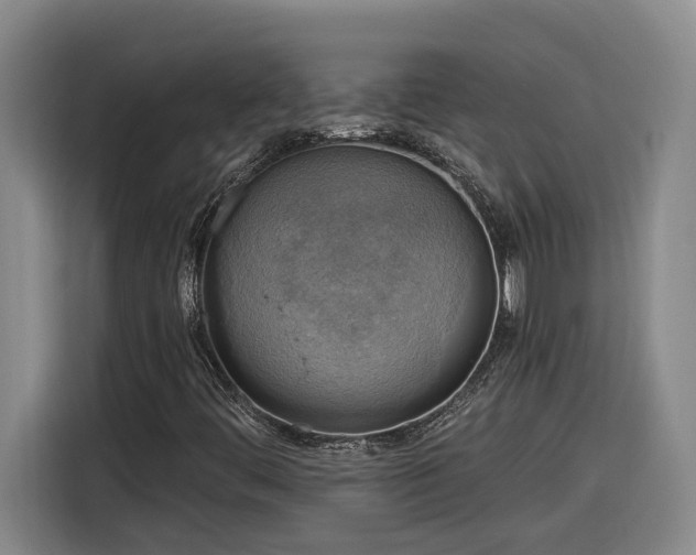 X0000116301444200912071239