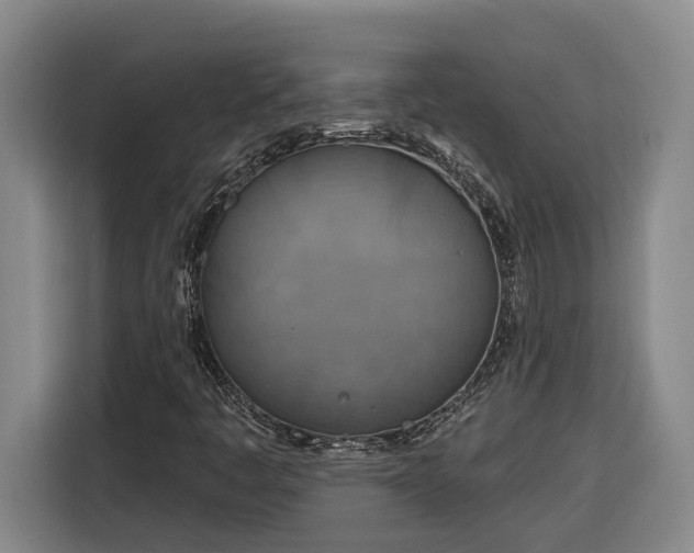 X0000116301445200912071239