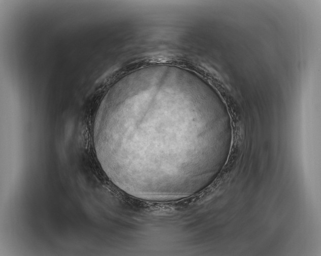 X0000116301446200912071239