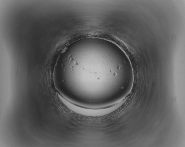 X0000116301447200912071239