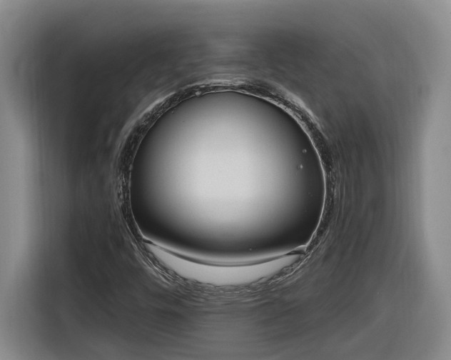 X0000116301448200912071239