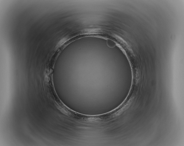 X0000116301449200912071239