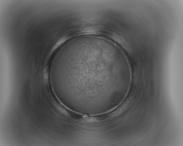 X0000116301450200912071239