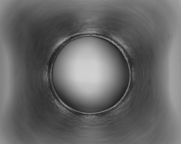 X0000116301452200912071239