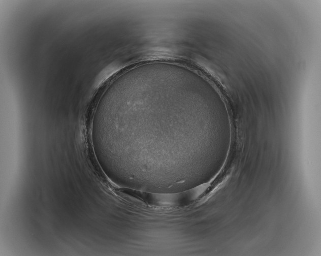 X0000116301453200912071239