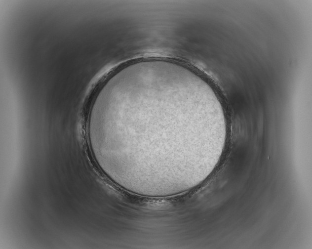 X0000116301454200912071239