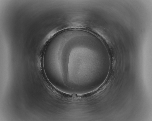 X0000116301455200912071239