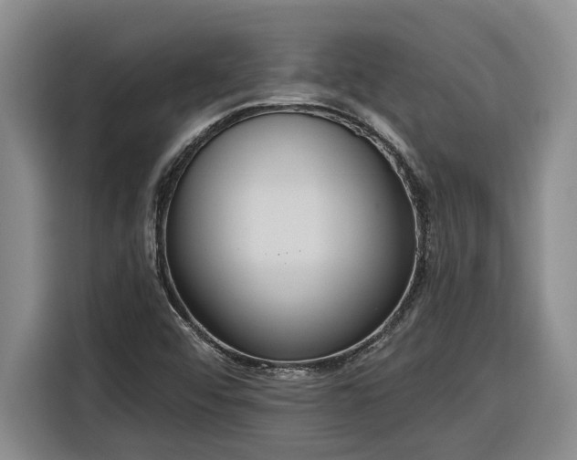 X0000116301456200912071239