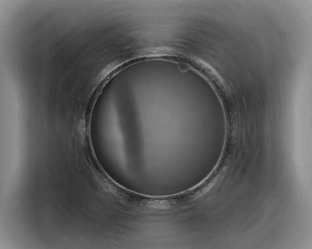 X0000116301457200912071239