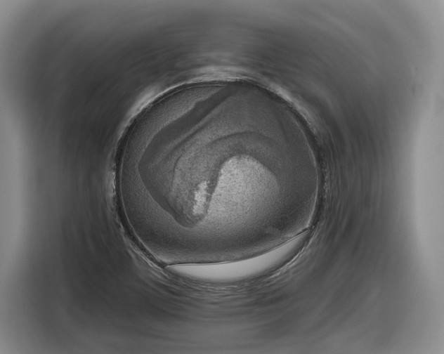 X0000116301459200912071239