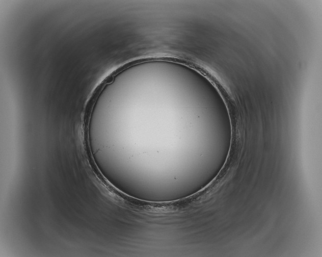 X0000116301460200912071239