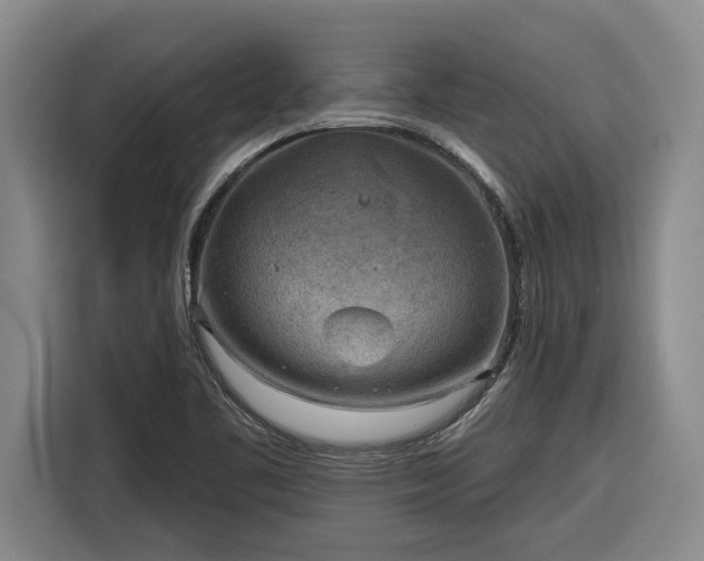 X0000116301461200912071239