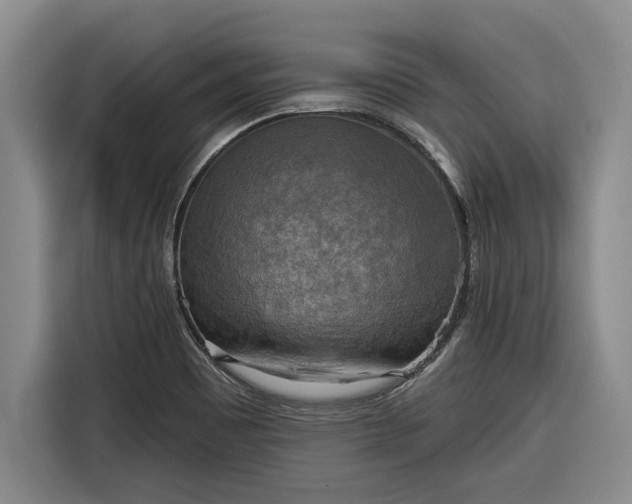 X0000116301465200912071239