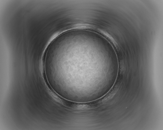 X0000116301467200912071239