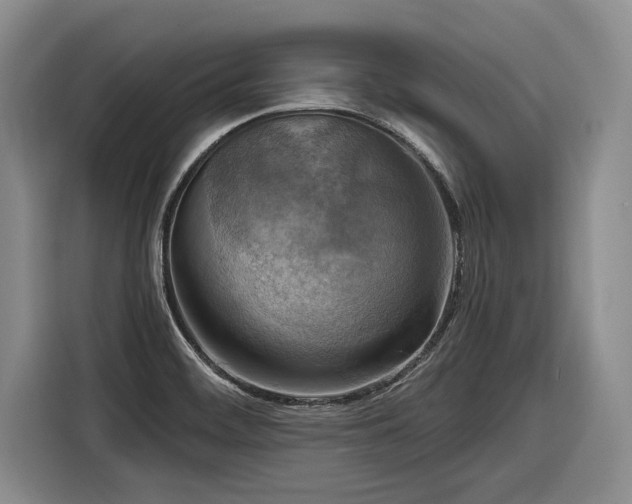 X0000116301468200912071238