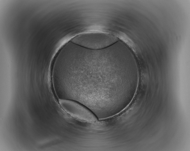 X0000116301469200912071238