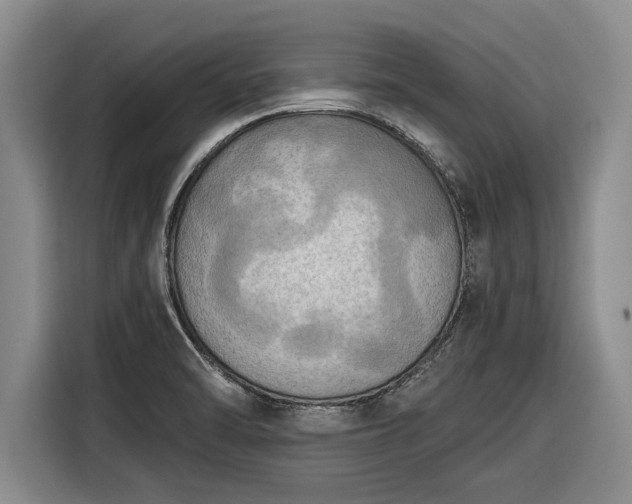 X0000116301470200912071238