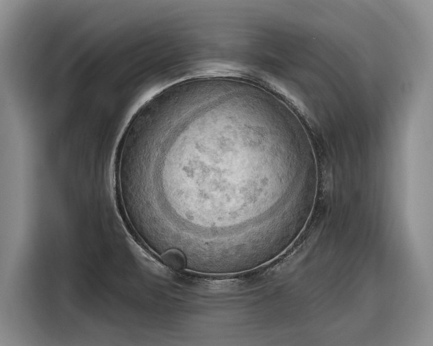 X0000116301471200912071238