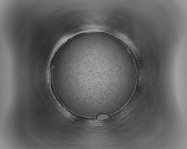 X0000116301472200912071238