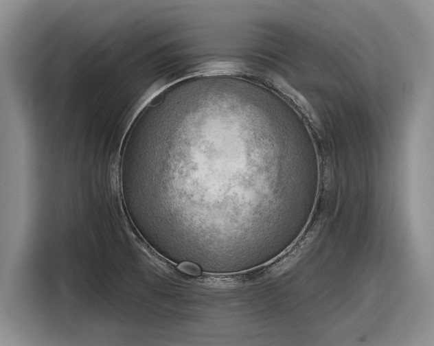 X0000116301473200912071238