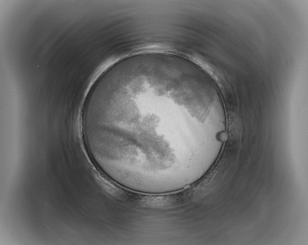 X0000116301474200912071238