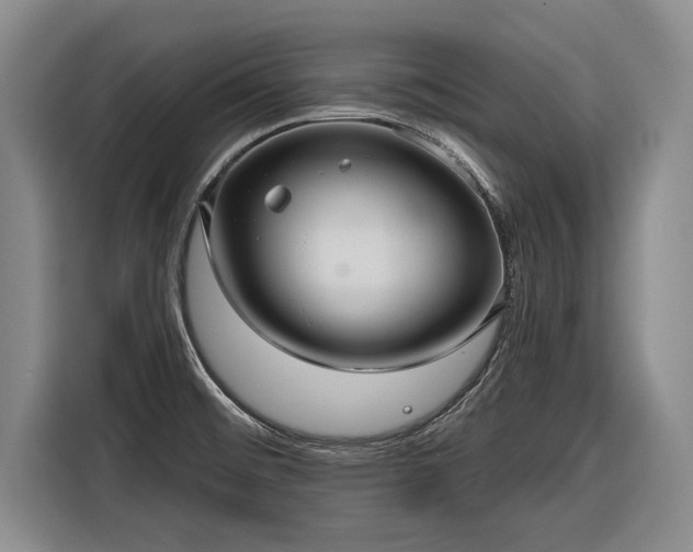 X0000116301476200912071238