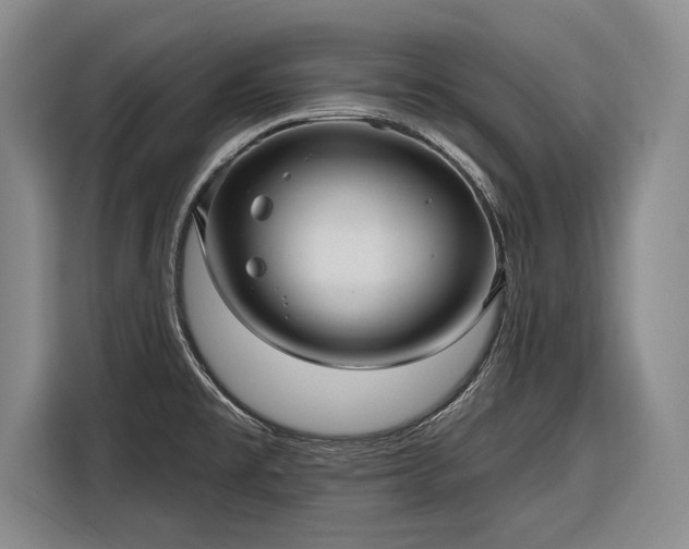 X0000116301477200912071238