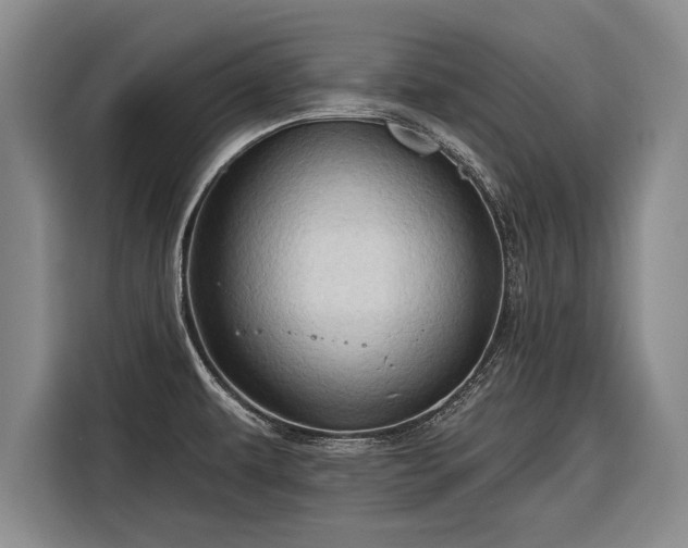 X0000116301479200912071238