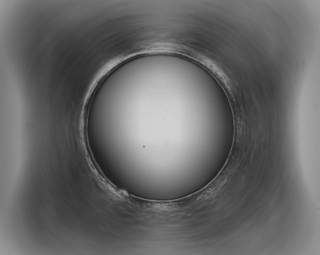 X0000116301480200912071238