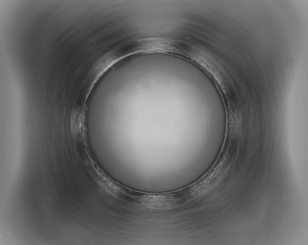 X0000116301481200912071238