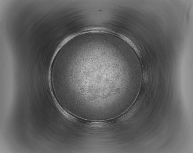 X0000116301482200912071238