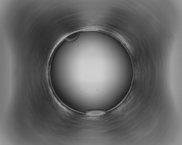 X0000116301484200912071238