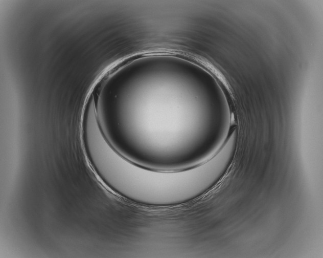 X0000116301485200912071238