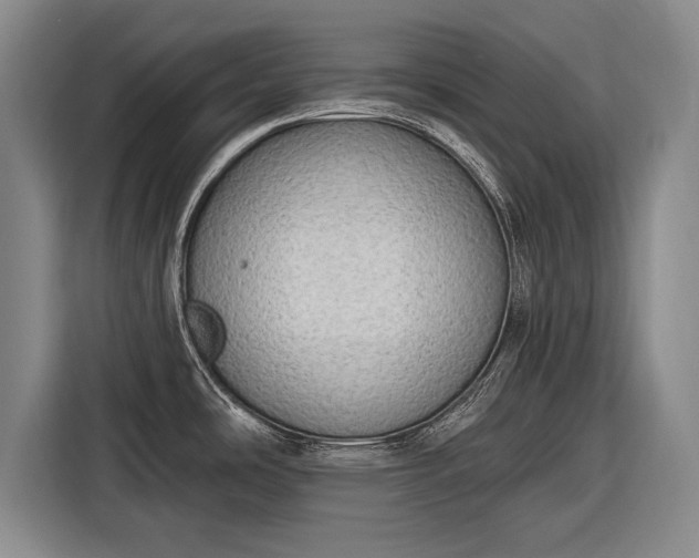 X0000116301486200912071238