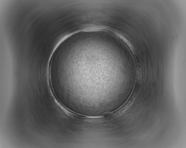 X0000116301487200912071238