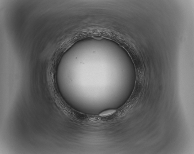 X0000116301489200912071238