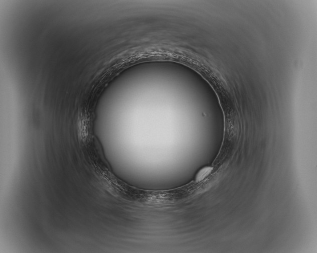 X0000116301490200912071238