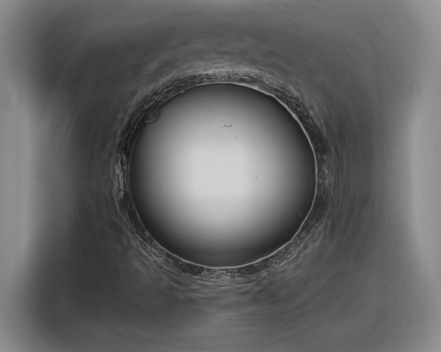 X0000116301493200912071238