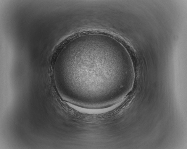 X0000116301494200912071238