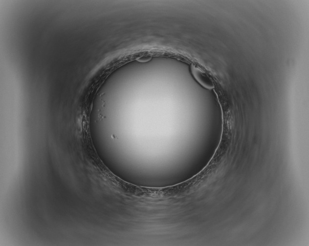 X0000116301495200912071238