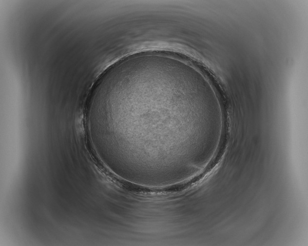 X0000116301497200912071238