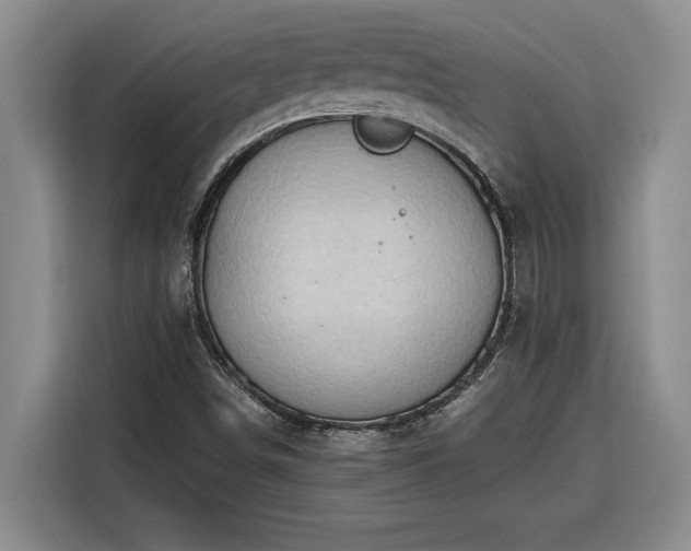 X0000116301498200912071238