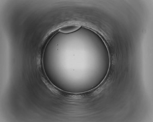 X0000116301499200912071238