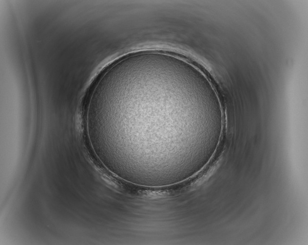 X0000116301501200912071238