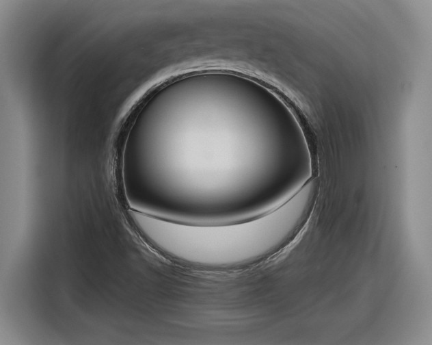 X0000116301502200912071238