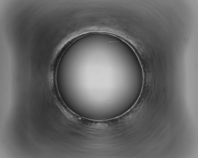 X0000116301503200912071238