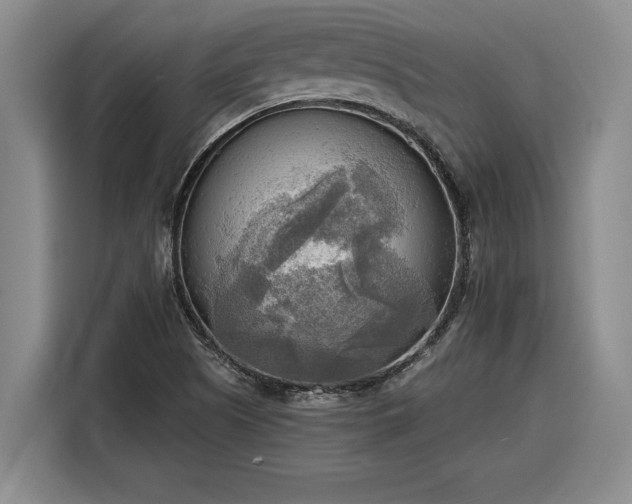 X0000116301505200912071238