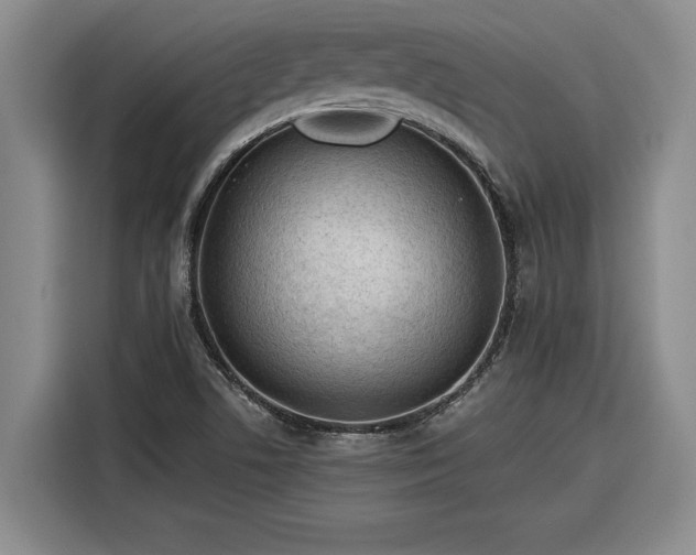 X0000116301506200912071238