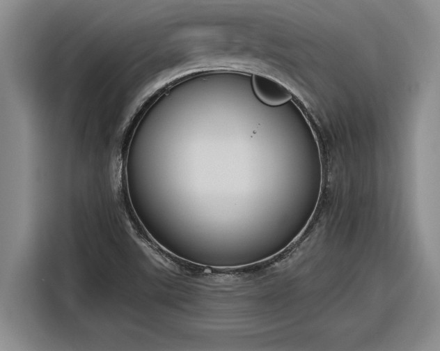 X0000116301507200912071238